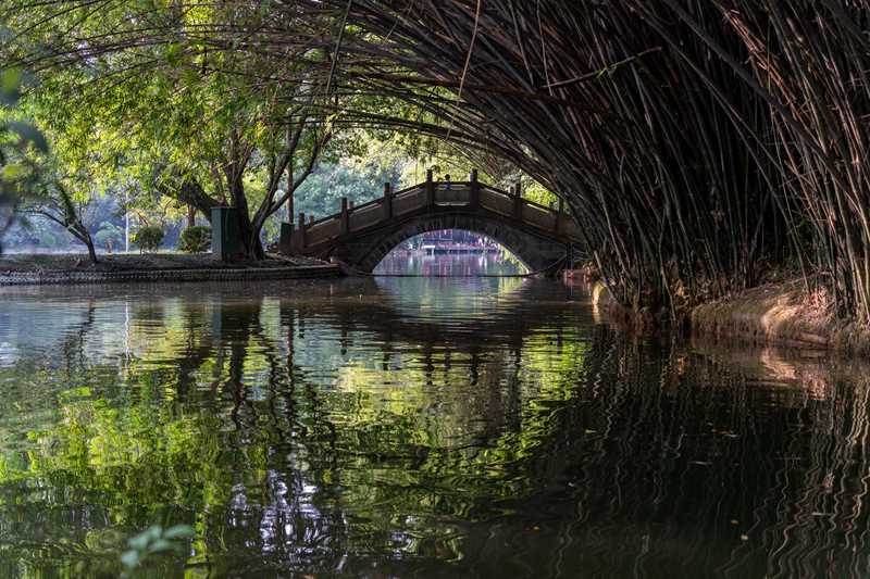 成都到大连，跨越山海的双城记，这份自助游攻略让你玩得像个老海蛎子-第1张图片-四川省中国青年旅行社
